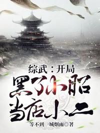 综武：开局黑了小昭当店小二